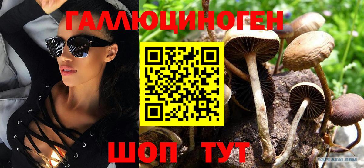 Конаково  Псилоцибиновые грибы Magic Shrooms  Вход с VPN 